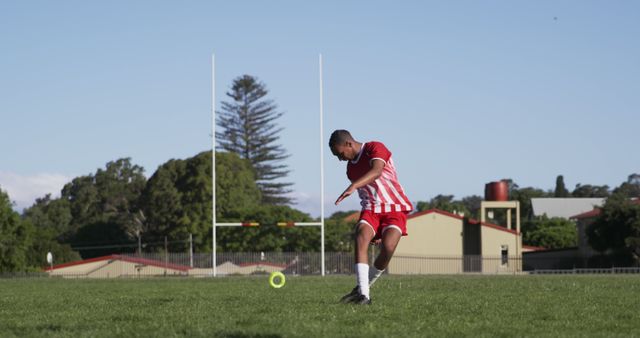 Young Man Practicing Rugby Kicking on Green Field - Download Free Stock Images Pikwizard.com