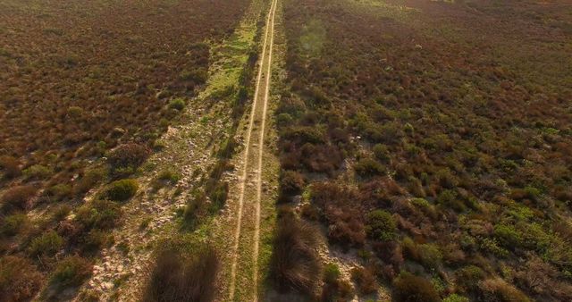 Aerial View of Long Dirt Path Through Dry Vegetation Landscape - Download Free Stock Images Pikwizard.com