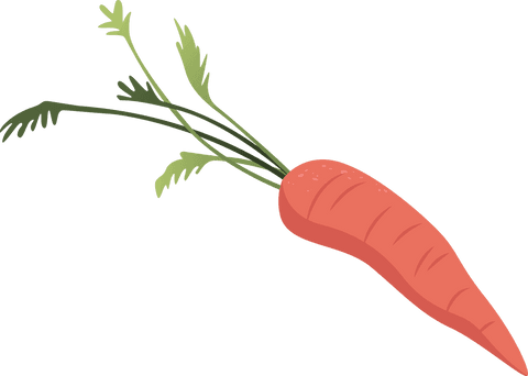 Fresh Carrot Illustration with Leaves on Transparent Background - Download Free Stock Videos Pikwizard.com
