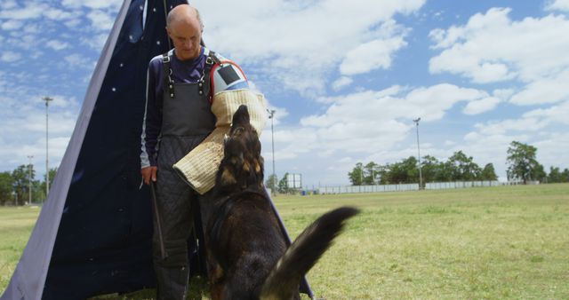 Dog Trainer Working with German Shepherd in Outdoor Training Session - Download Free Stock Images Pikwizard.com