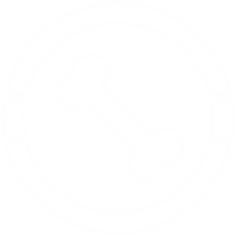 Transparent Icon with Bone in Circle - Download Free Stock Videos Pikwizard.com