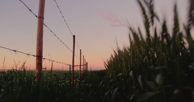 A barbed wire fence stretches across a field at sunset, with the sky painted in warm hues, with copy space. The serene landscape captures the tranquil transition from day to night in a rural setting.