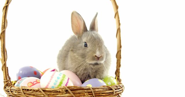 A cute gray bunny sits among colorful Easter eggs in a wicker basket, with copy space. The image evokes the festive spirit of Easter and symbolizes springtime celebrations.