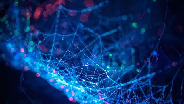 Vibrant Spider Web Illuminated with Blue and Pink Bokeh