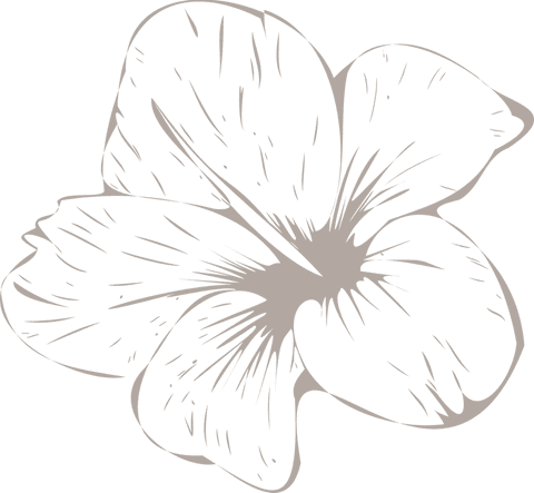 Stylized tropical flower vector with transparent background