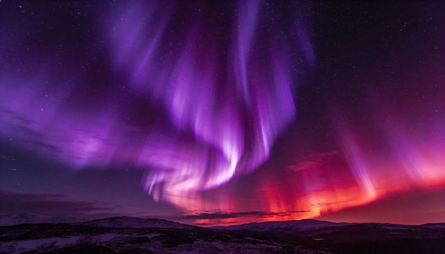 Vivid Purple and Magenta Northern Lights Swirling Over Snowy Tundra Night Sky
