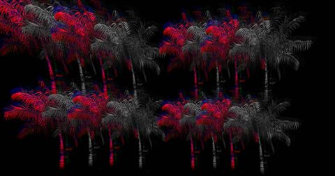 Colorful holographic palm trees on dark background