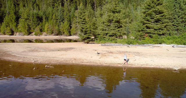 Individual Walking Along Serene Forest Lakeshore - Download Free Stock Images Pikwizard.com