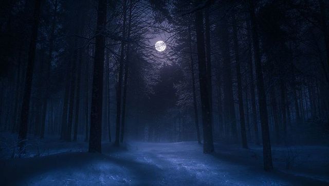 Glowing Full Moon Casting Silver Light over Snowy Path Winding through Pine Forest