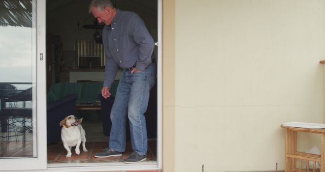 Senior Man Interacting with Dog at Home - Download Free Stock Images Pikwizard.com