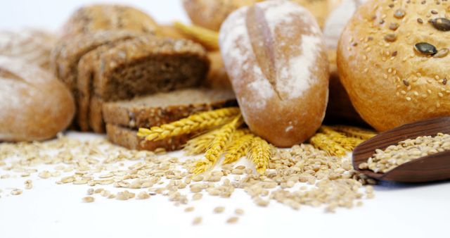 Assorted Fresh Breads and Grains on White Background - Download Free Stock Images Pikwizard.com