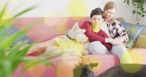 Couple cuddling with terrier on pink sofa, cozy home moment with plants and soft cushions