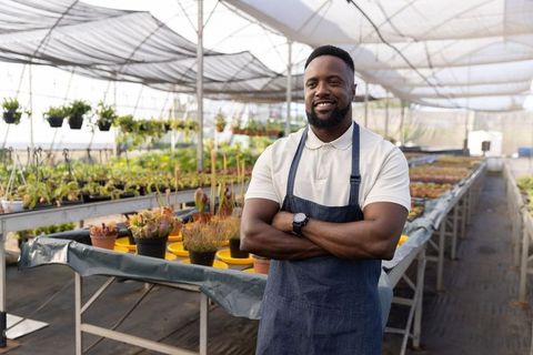 African american nursery owner standing confidently among succulent pots inside greenhouse