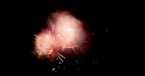 Vibrant red fireworks exploding in night sky