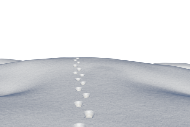 Footsteps in Snow Transparent Background Winter Illustration - Download Free Stock Videos Pikwizard.com