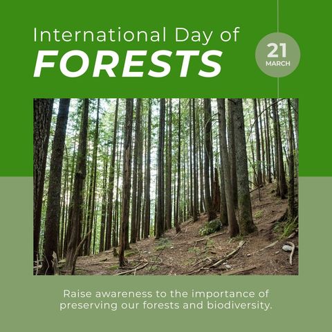 International Day of Forests Celebration with Lush Greenery - Download Free Stock Templates Pikwizard.com