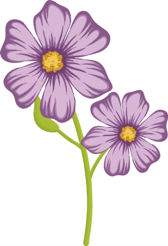 Elegant Lilac Flowers with Green Stem on Transparent Background