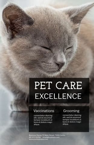Serene Cat Promoting Quality Pet Grooming Services - Download Free Stock Templates Pikwizard.com