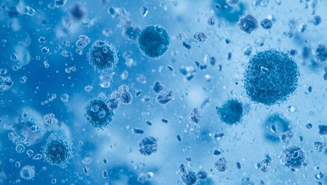 Microscopic view of viral particles in fluid