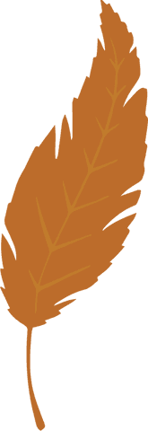 stylized orange feather with transparent background - Download Free Stock Videos Pikwizard.com