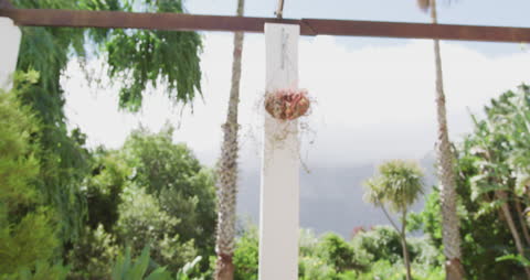 Senior Couple Enjoying Gardening in Lush Backyard