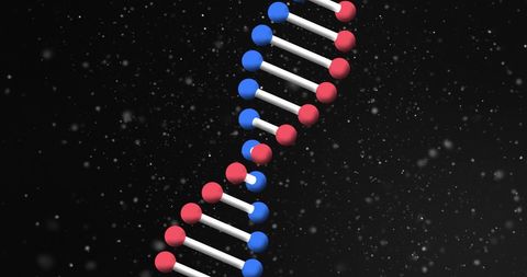 Animated DNA Strand Rotating in Cosmic Space - Download Free Stock Images Pikwizard.com