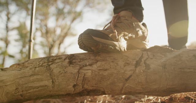 Close-up of Hiker's Foot on Fallen Log in Nature - Download Free Stock Images Pikwizard.com