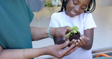 African american grandmother guiding granddaughter in gardening holding seedling