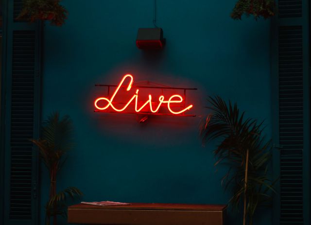 The neon sign 'Live' glows brightly against a dark blue wall. The sign is surrounded by lush green plants and minimalistic wooden furniture, creating a warm and vibrant contrast. This image is perfect for advertisements or promotional materials for night clubs, live music venues, or modern decor themes. It can also enhance marketing campaigns for interior design or urban lifestyle websites.