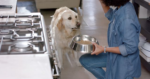 Biracial woman serving golden retriever dog food at home. Lifestyle, free time, animal and domestic life, unaltered.