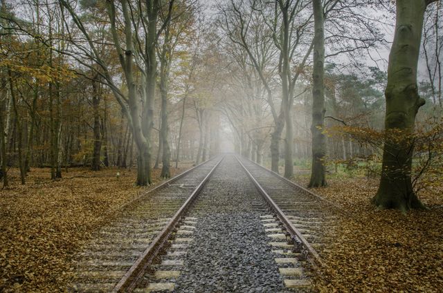 Foggy Railway Track Through Forest with Autumn Foliage - Download Free Stock Photos Pikwizard.com