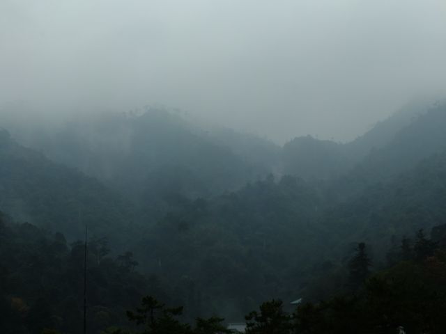 Misty Mountain Landscape Shrouded in Fog - Download Free Stock Photos Pikwizard.com