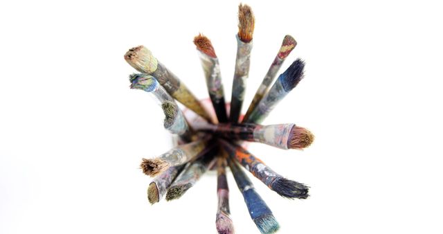 Close-up of various paint brushes on white background