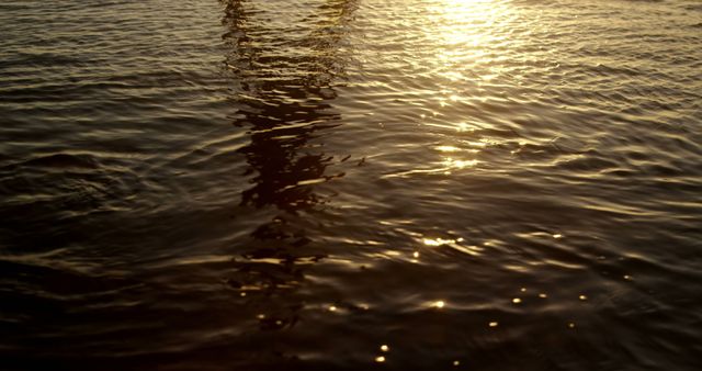 Calm Water Surface with Sunset Reflection - Download Free Stock Images Pikwizard.com