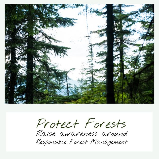 Digital image of protect forests raise awareness around responsible forest management text, trees. Digital composite, environment conservation, fsc friday, forest stewardship council.