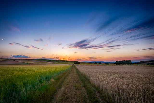 Golden hour photograph capturing sunset over a countryside path aligning grass and wheat fields. This scenic landscape exudes tranquility and offers a peaceful rural setting, ideal for use in agricultural advertisements, nature promotions, and campaigns aiming to evoke a serene and contemplative mood.