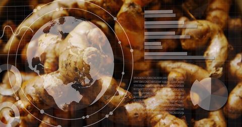 Global Data Analytics Overlaid on Fresh Vegetables