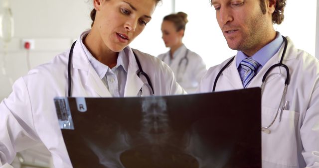 Doctors Reviewing X-Ray Results in Hospital - Download Free Stock Images Pikwizard.com