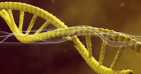 Golden dna double helix twisting with digital data wave visualization for genomics