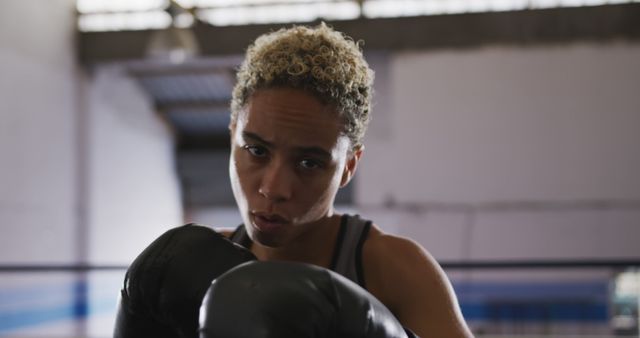 Focused Latina Female Boxer Ready for Training in Gym - Download Free Stock Images Pikwizard.com