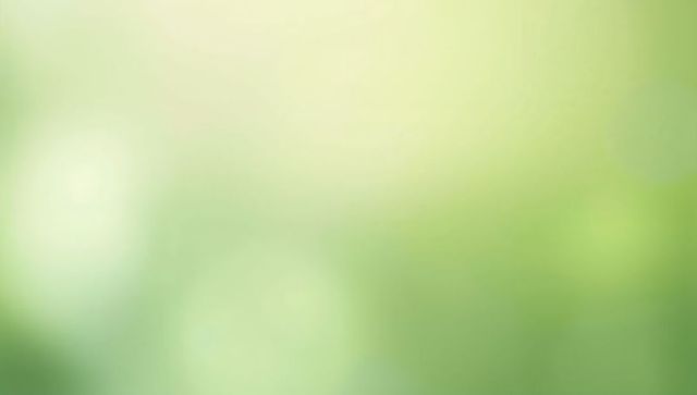 Soft Green Bokeh Gradient Evoking Calm Nature and Sunlit Canopy