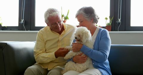 Senior Couple Relaxing with Pet Dog on Sofa