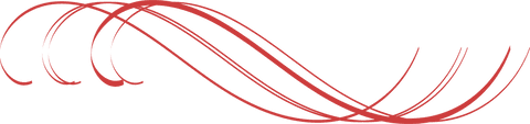 Red Curvilinear Abstract Lines on Transparent Background - Download Free Stock Videos Pikwizard.com