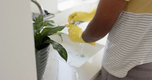 Man Wearing Gloves Washing Dishes in Kitchen Sink - Download Free Stock Images Pikwizard.com