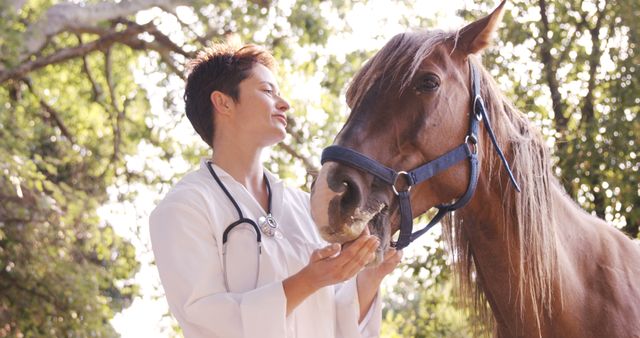 Veterinarian Caring for Horse in Nature - Download Free Stock Images Pikwizard.com