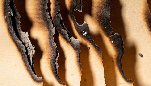 Corrugated cardboard macro showing burnt curled flutes, scorched texture and ashy ridges