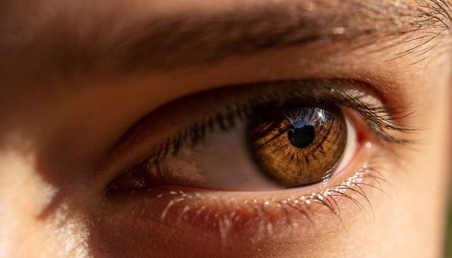 Macro brown eye with detailed iris texture, eyelashes and reflective highlight close-up sunlit