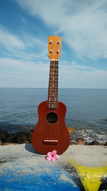 Ukulele on Sea Shore with Pink Flower Under Clear Blue Sky - Download Free Stock Images Pikwizard.com