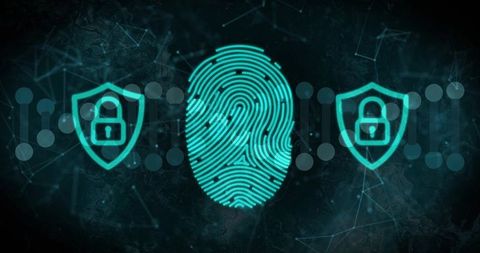 Teal fingerprint scanning with shield locks representing cybersecurity biometric access