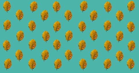 bright autumn leaves seamless pattern on blue background - Download Free Stock Images Pikwizard.com